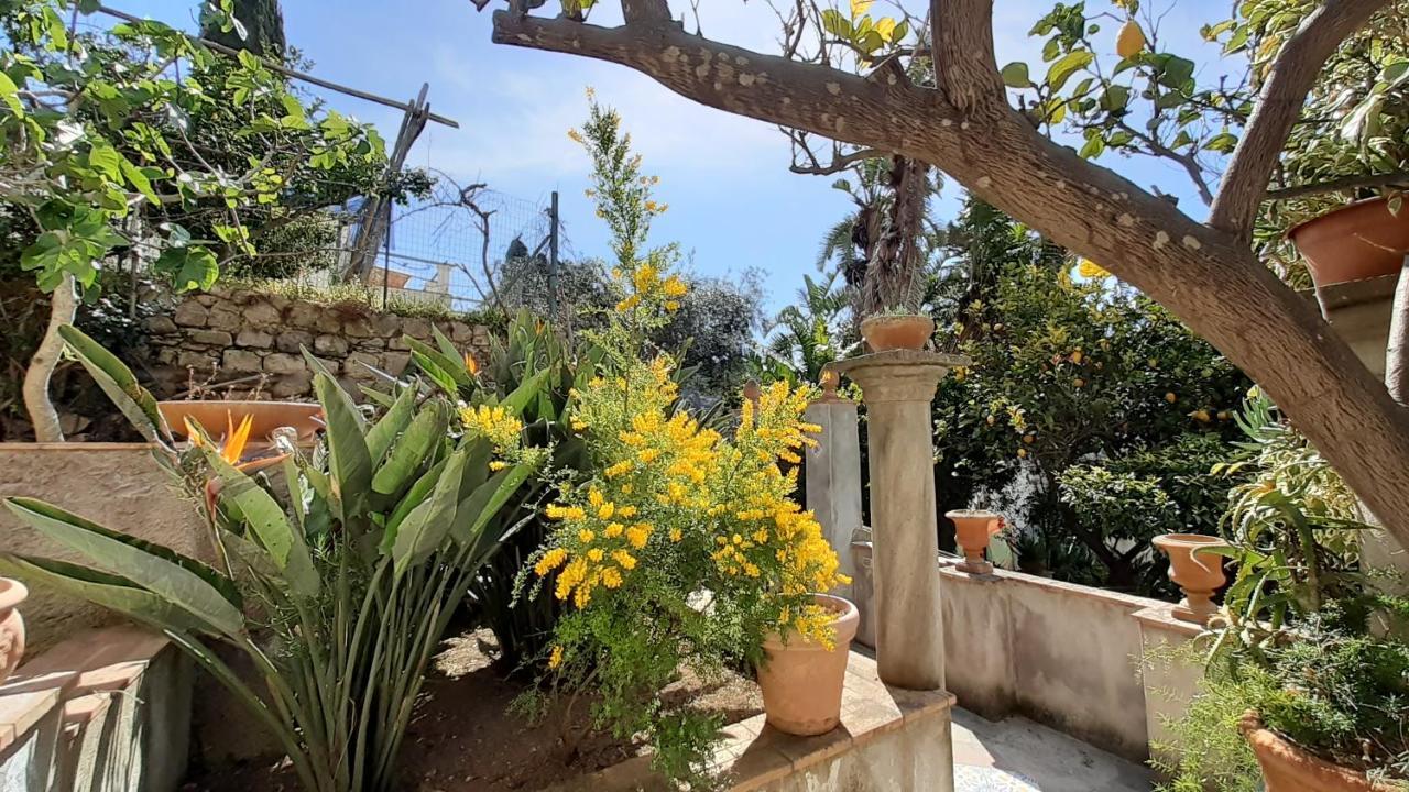 Villa Dorothee Капри Екстериор снимка