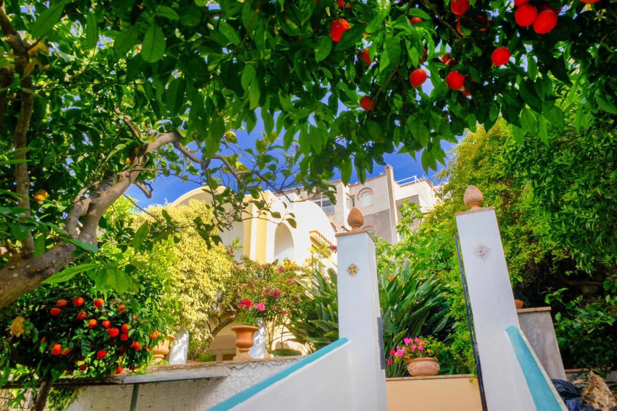 Villa Dorothee Капри Екстериор снимка